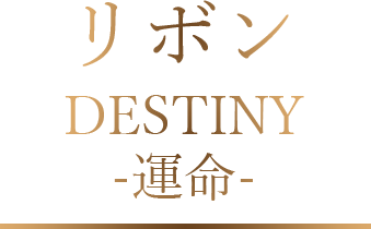 リボン DESTINY 運命