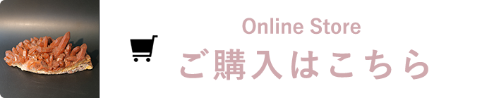 Online Store ご購入はこちら