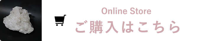 Online Store ご購入はこちら